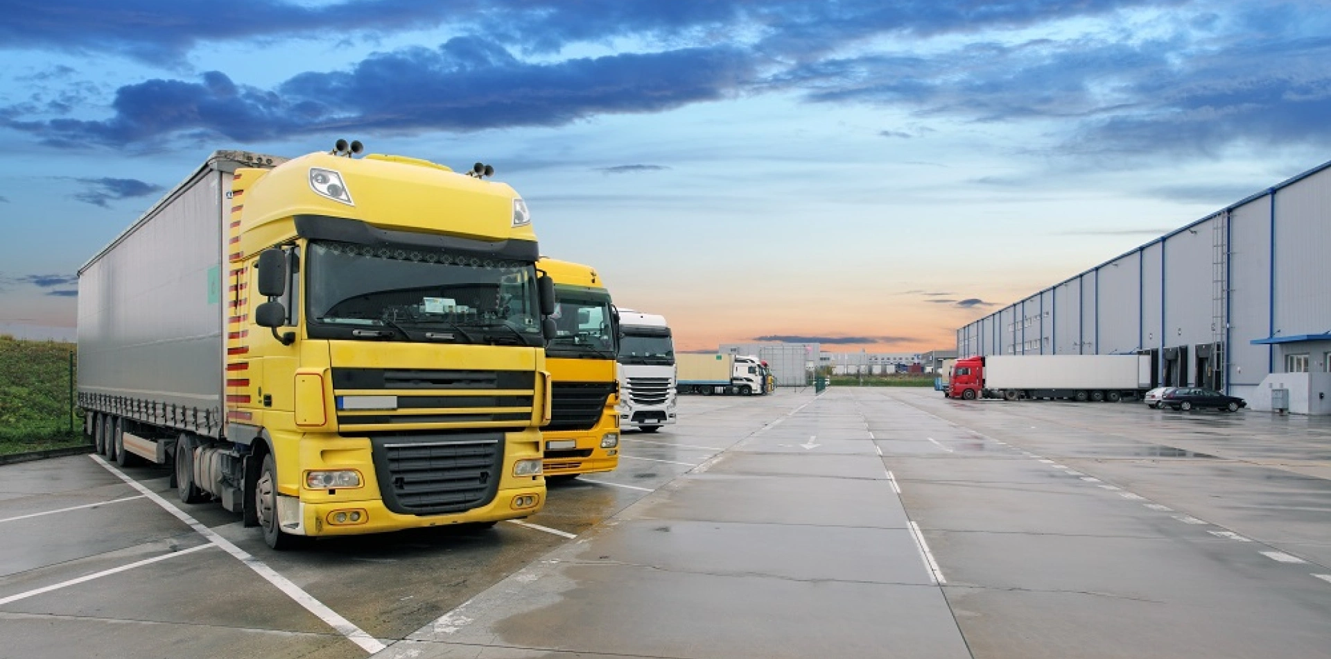 Land Transportation
